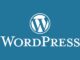 Comment bien débuter sous Wordpress?