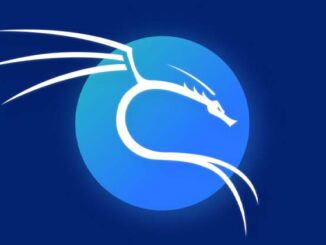 Logo officiel de Kali Linux en bleu avec le dragon stylisé, symbole de la distribution dédiée à la cybersécurité et au pentesting
