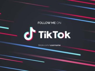 tiktok a plus de 200 millions d'utilisateurs en Europe.